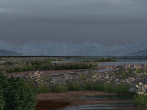 wetlands 3Dモデル