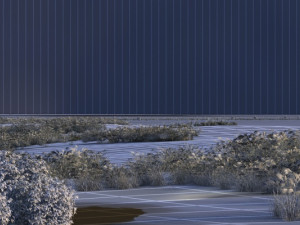wetlands 3Dモデル