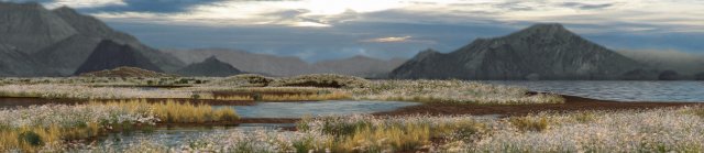 wetlands 3D Model .c4d .max .obj .3ds .fbx .stl .blend 