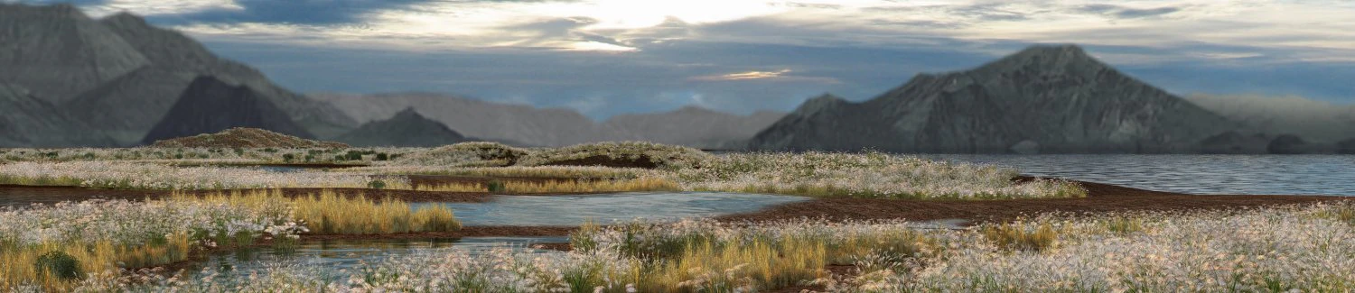 wetlands 3D Model .c4d .max .obj .3ds .fbx .stl .blend