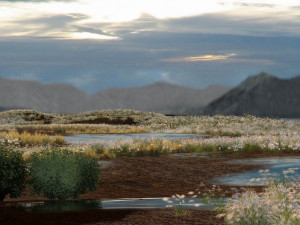 wetlands 3D Model