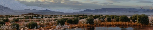 wetlands 3D 모델 .c4d .max .obj .3ds .fbx .stl .blend 