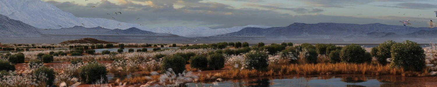wetlands 3D Model .c4d .max .obj .3ds .fbx .stl .blend