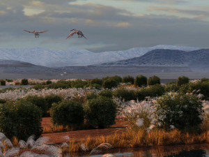 wetlands 3D 모델