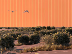 wetlands 3D 모델