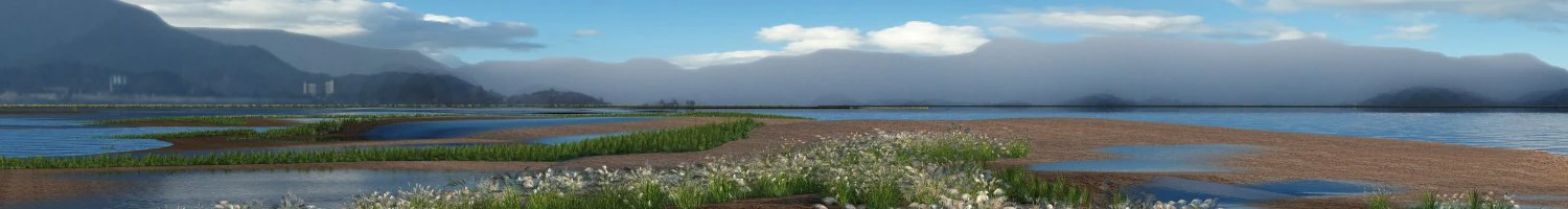 wetlands 3D Model .c4d .max .obj .3ds .fbx .stl .blend 