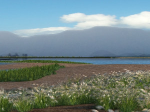 wetlands 3D Model