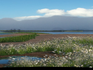 wetlands 3D 模型