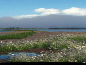 wetlands 3D Model