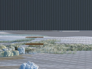 wetlands 3D 模型