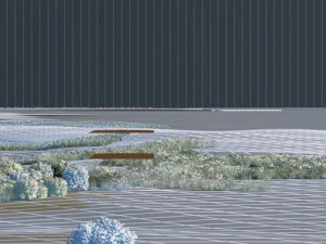 wetlands 3D Model