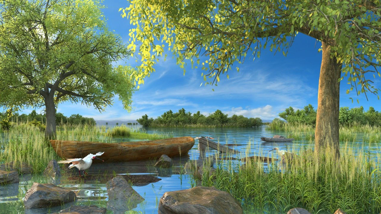 wetlands 3D Model .c4d .max .obj .3ds .fbx .stl .blend 