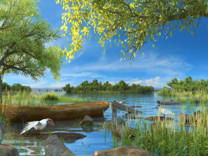 wetlands Modelo 3D