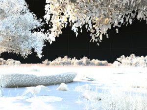 wetlands Modelo 3D