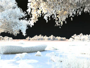 wetlands 3D Model