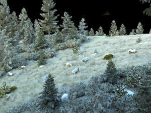 the sheep on the hillside Modello 3D