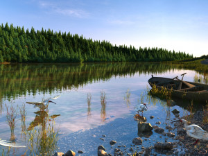 wetlands Modello 3D
