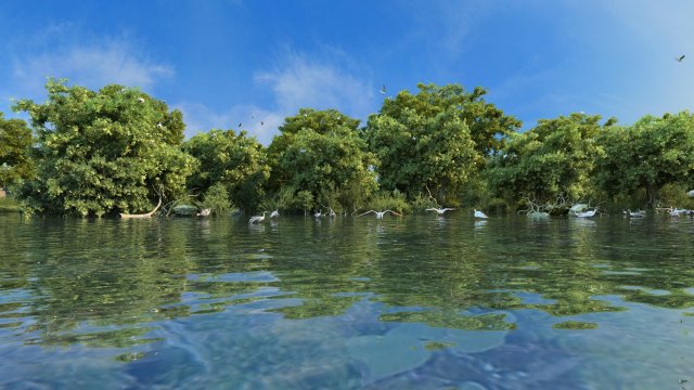 wetlands 3D 모델 .c4d .max .obj .3ds .fbx .stl .blend 