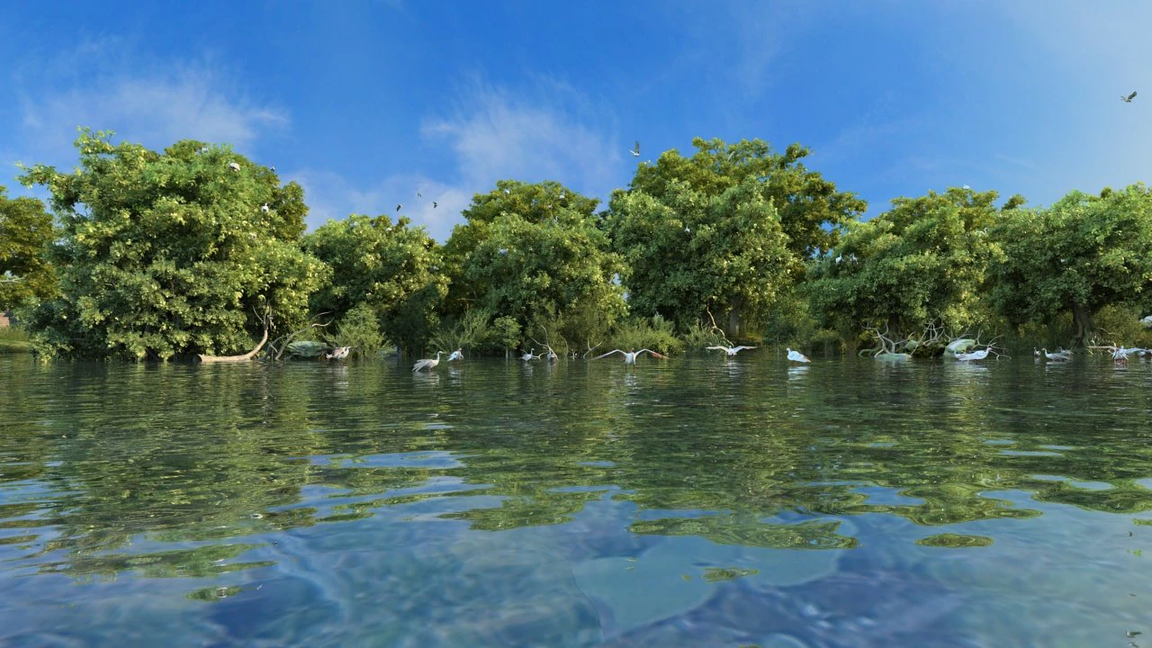 wetlands 3D Model .c4d .max .obj .3ds .fbx .stl .blend 