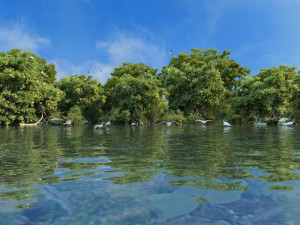 wetlands 3D Model