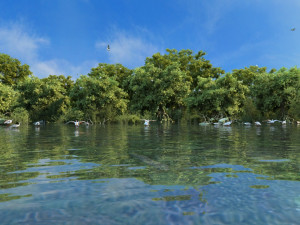 wetlands 3D 모델