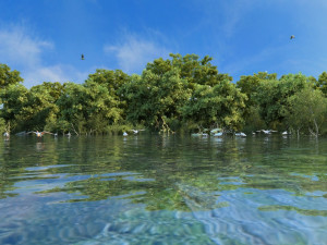 wetlands 3D 모델