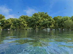 wetlands 3D Model