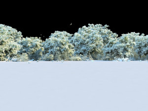 wetlands 3D 모델