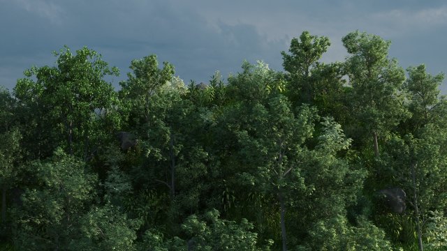 mountain forest 3D Model .c4d .max .obj .3ds .fbx .stl .blend