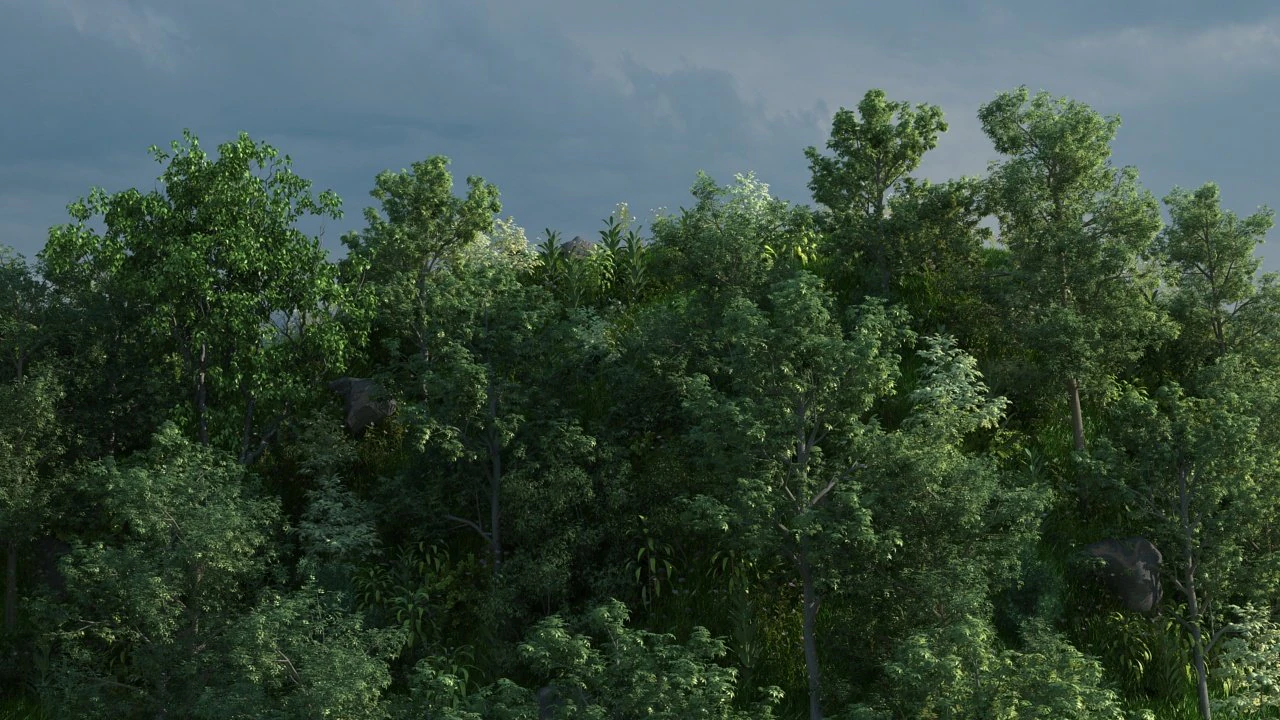 mountain forest 3D Model .c4d .max .obj .3ds .fbx .stl .blend 