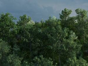 mountain forest Model 3D