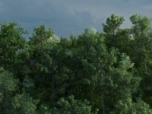 foresta di montagna Modello 3D