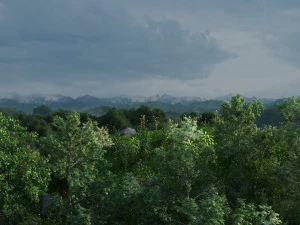 mountain forest 3D Model