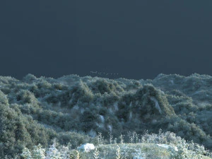 mountain forest 3D Model