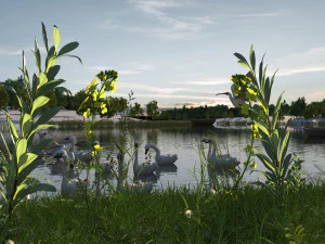 wetlands 3D Model