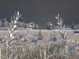 wetlands 3D Model
