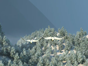rainforest crested ibis 3D Model