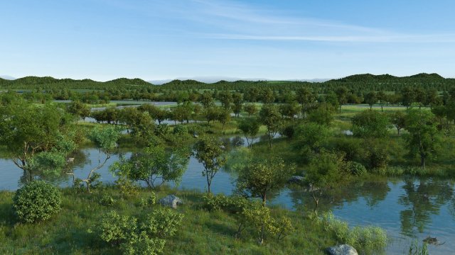 wetlands 3Dモデル .c4d .max .obj .3ds .fbx .stl .blend 