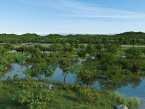 wetlands Modèle 3D