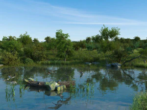 wetlands 3D Model