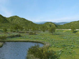 wetland park 3D Model