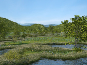 wetland park 3D 模型