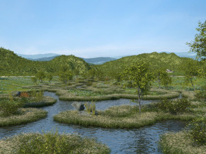 wetland park 3D 模型