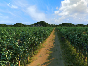 vineyard 3D-Modell
