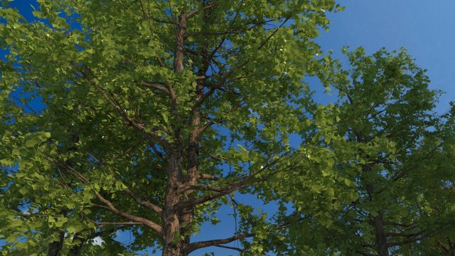 tree-lined trail 3D Model .c4d .max .obj .3ds .fbx .stl .blend 