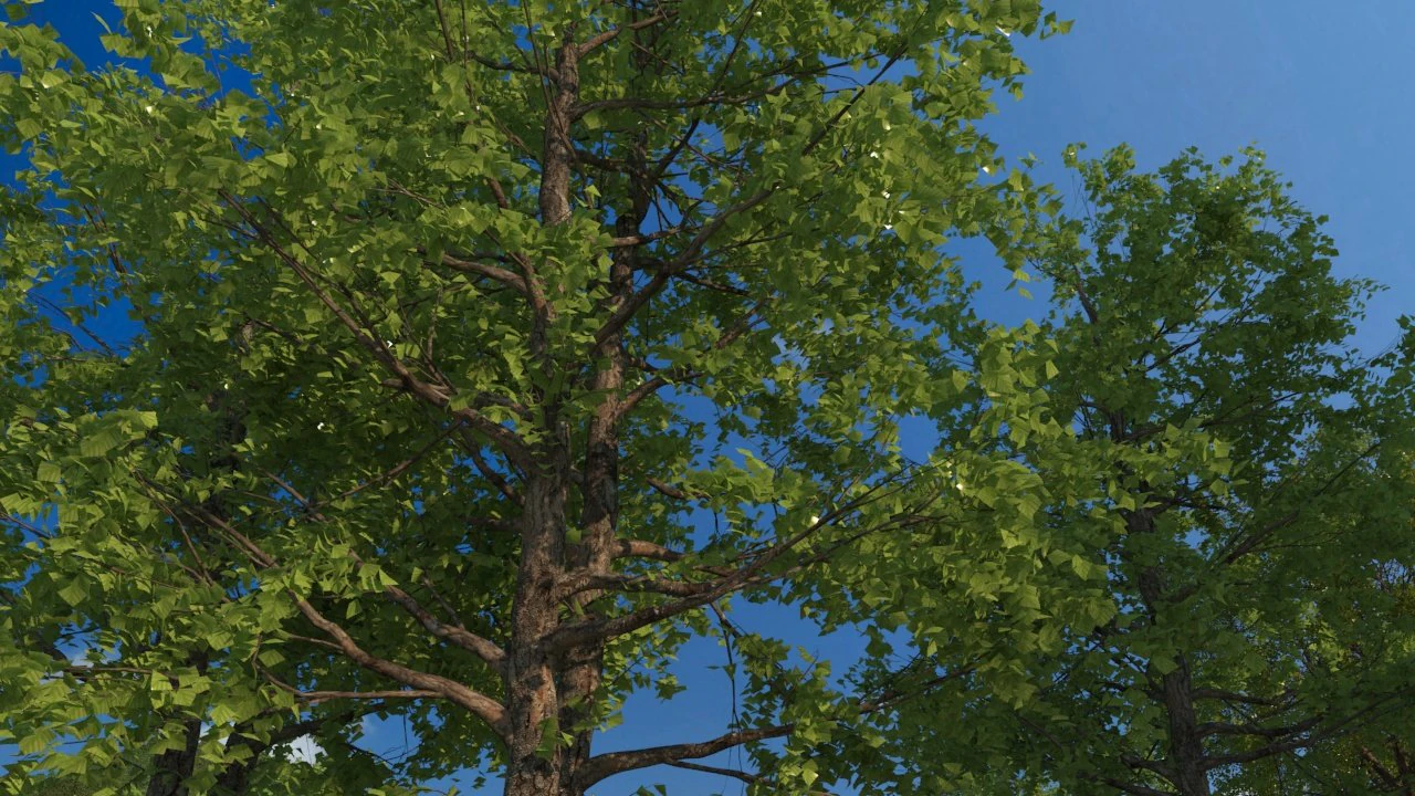 tree-lined trail 3D Model .c4d .max .obj .3ds .fbx .stl .blend 