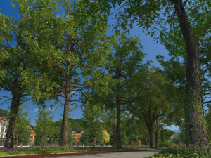 tree-lined trail 3D Model