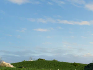 natural landscape 3D Model