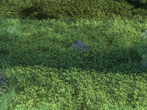 tree under the bird Modello 3D