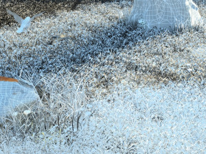 tree under the bird Modello 3D